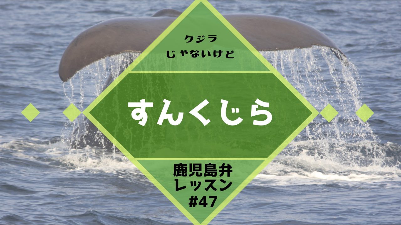 鹿児島弁レッスン 47 クジラじゃないけど すんくじら 鹿児島とお茶の３分間トーク